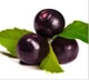Bayas de Acai: Ingrediente clave de Silvets para acelerar el metabolismo.