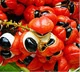 Guaraná: Ingrediente energético de Silvets para aumentar la vitalidad.